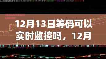 揭秘,12月13日筹码实时监控之旅,自然、内心与筹码的交响乐