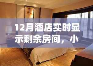 揭秘十二月酒店实时房态显示秘籍,小红书独家分享,轻松预订心仪住宿!