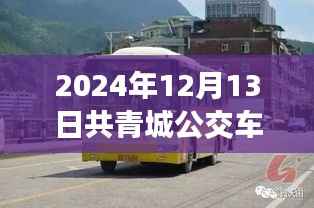 2024年共青城公交车实时查询指南,轻松出行,无忧旅途