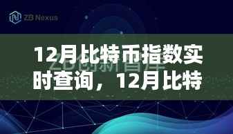 12月比特币指数实时查询,全面评测与详细介绍
