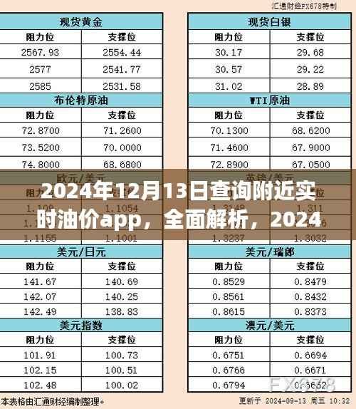 2024年最佳油价查询App,附近实时油价全面解析