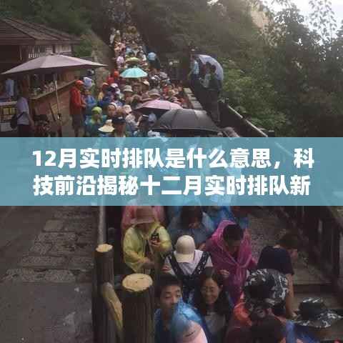 科技前沿揭秘,智能时代十二月实时排队的速度与激情新体验