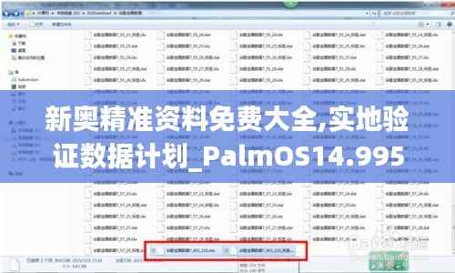 新奥精准资料免费大全,实地验证数据计划_PalmOS14.995