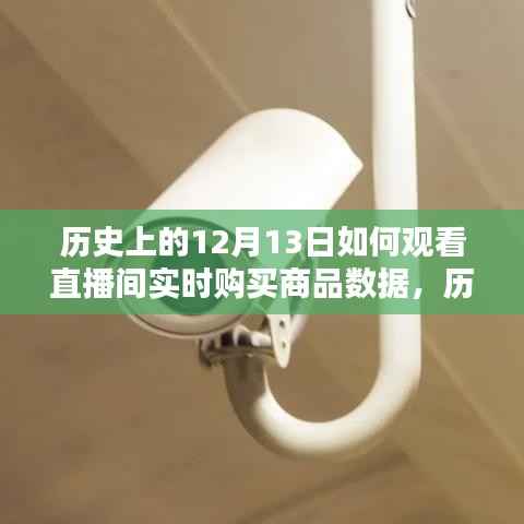 历史上的12月13日直播间实时购买商品数据解析与体验评测