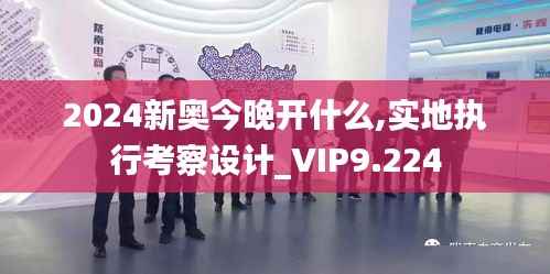 2024新奥今晚开什么,实地执行考察设计_VIP9.224