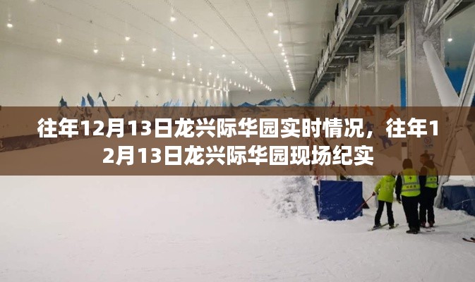 往年12月13日龙兴际华园,现场纪实与实时情况回顾