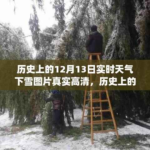 历史上的12月13日实时下雪高清图片，展现冬季雪景的迷人魅力