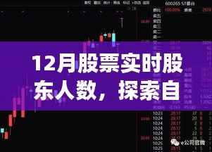 探索自然美景与股市背后的故事,股东人数揭秘与心灵宁静之旅