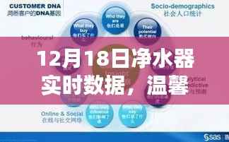 12月18日净水器实时数据,温馨日常的奇妙邂逅之旅