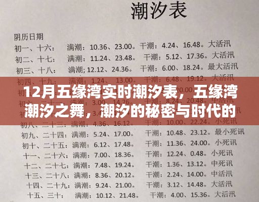 五缘湾潮汐秘密大揭秘,潮汐表实时更新,感受时代印记的舞蹈