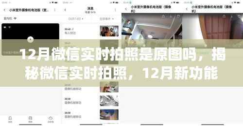 揭秘微信新功能,12月实时拍照原图真相探索