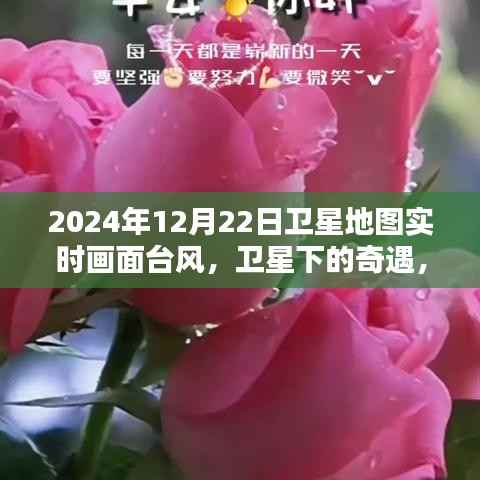 卫星实时记录,台风天里的暖心瞬间与卫星下的奇遇