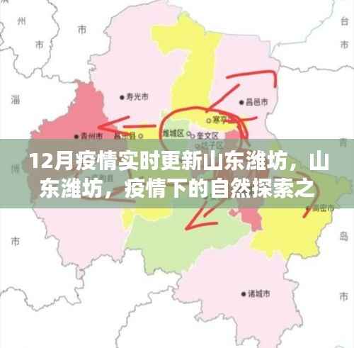 怀真抱素 第4页