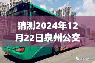 泉州公交车实时查询App使用指南,从初学者到进阶用户,掌握2024年12月22日泉州公交实时路线查询App的实用技巧与操作指南