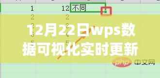 WPS数据可视化实时更新解析,探索12月22日三大要点数据可视化报告