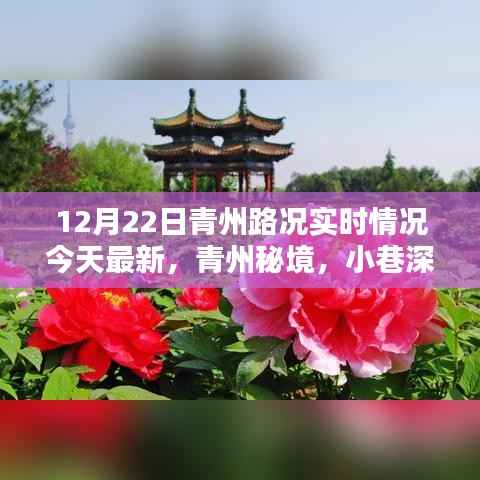 12月22日青州路况实时更新,秘境小巷的风情与隐藏宝藏