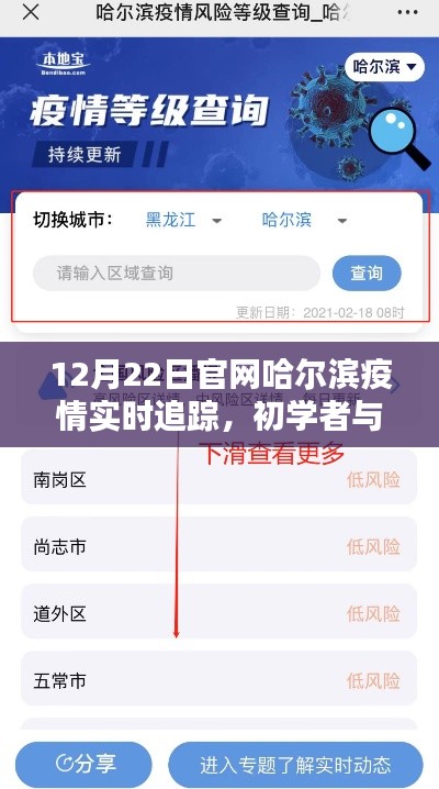 哈尔滨疫情实时追踪指南,从初学者到进阶用户,一键掌握(以12月22日为例)