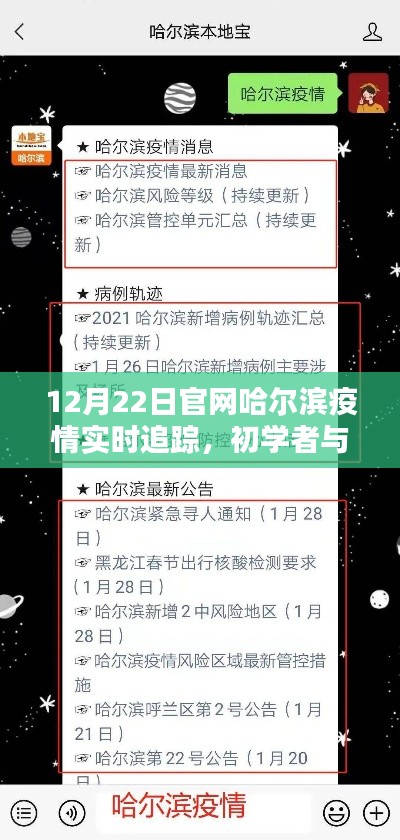 哈尔滨疫情实时追踪指南,从初学者到进阶用户,一键掌握(以12月22日为例)