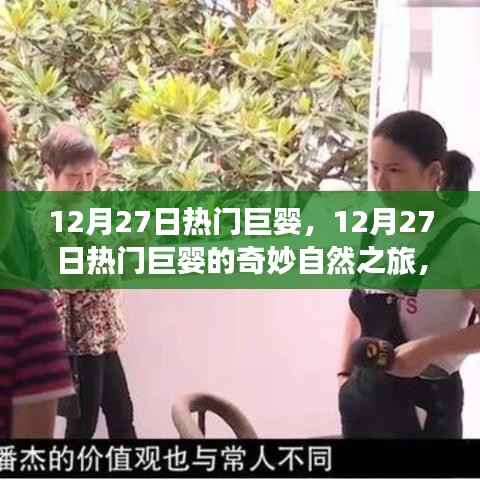 12月27日热门巨婴的奇妙自然之旅,探寻内心宁静与平和