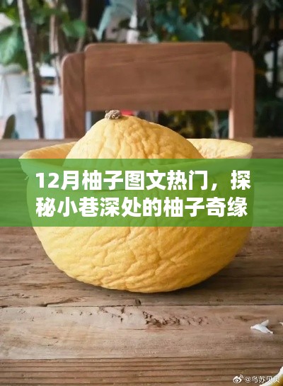探秘柚子奇缘，隐藏版柚子主题小店的独特魅力，12月柚子图文热门