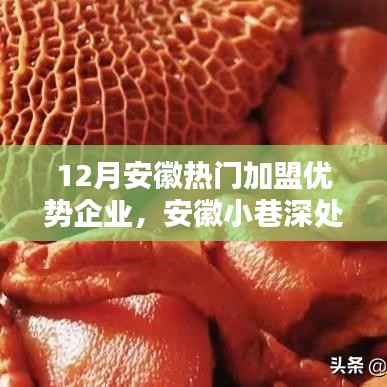 安徽特色加盟企业探寻,宝藏小店的无限魅力与独特优势