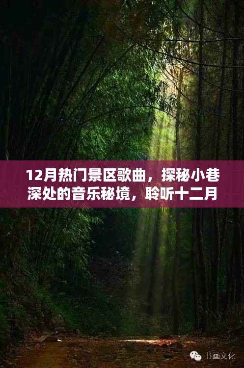 探秘十二月热门景区音乐秘境,小巷深处的歌曲精选