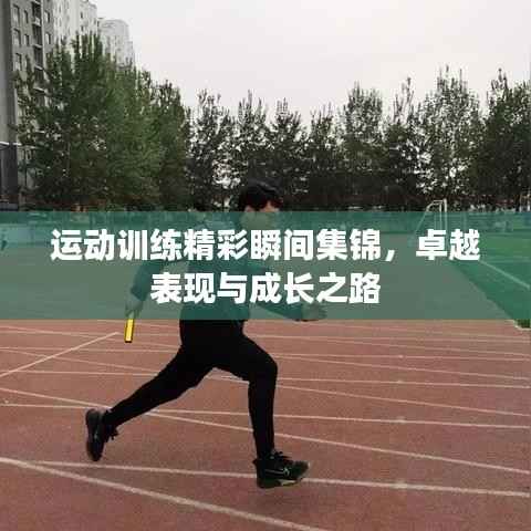运动训练精彩瞬间集锦,卓越表现与成长之路