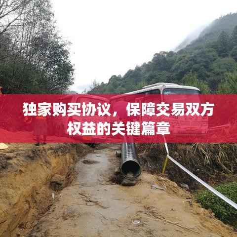 独家购买协议,保障交易双方权益的关键篇章
