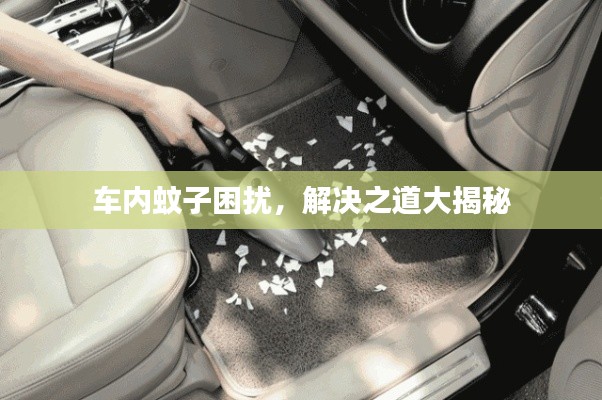 车内蚊子困扰,解决之道大揭秘