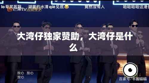 大湾仔独家赞助，大湾仔是什么 