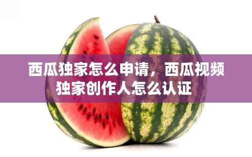 西瓜独家怎么申请,西瓜视频独家创作人怎么认证