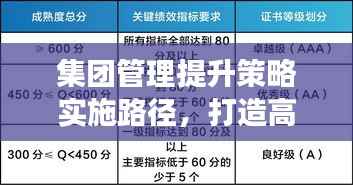 集团管理提升策略实施路径,打造高效管理体系,助力企业腾飞