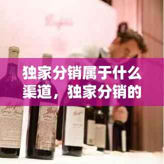 独家分销属于什么渠道,独家分销的概念