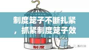制度笼子不断扎紧,抓紧制度笼子效果如何
