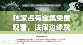 独家占有全集免费观看,法律边缘灰色地带的探索之旅