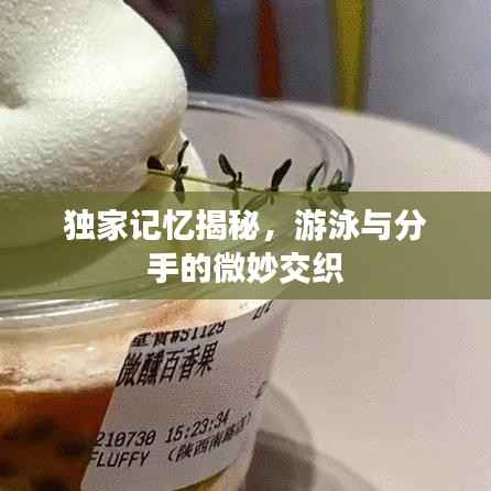 独家记忆揭秘,游泳与分手的微妙交织