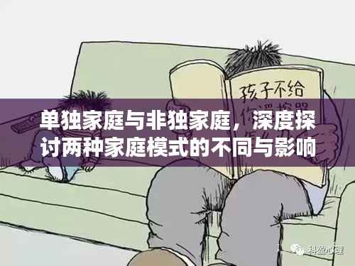 单独家庭与非独家庭,深度探讨两种家庭模式的不同与影响