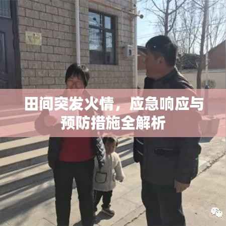 花成蜜就 第3页