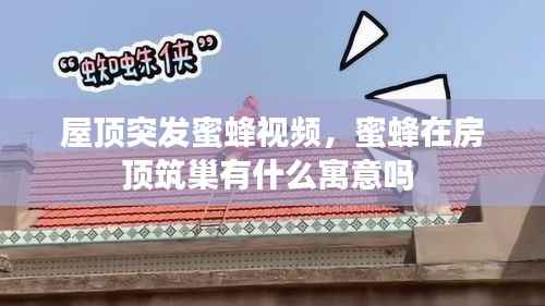 屋顶突发蜜蜂视频,蜜蜂在房顶筑巢有什么寓意吗