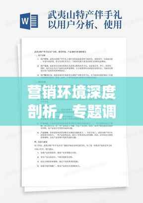 营销环境深度剖析,专题调查问卷研究报告