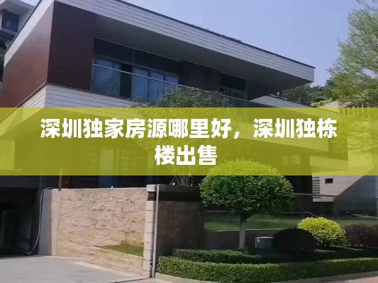 深圳独家房源哪里好,深圳独栋楼出售