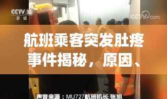 航班乘客突发肚疼事件揭秘,原因、应对与解析全攻略