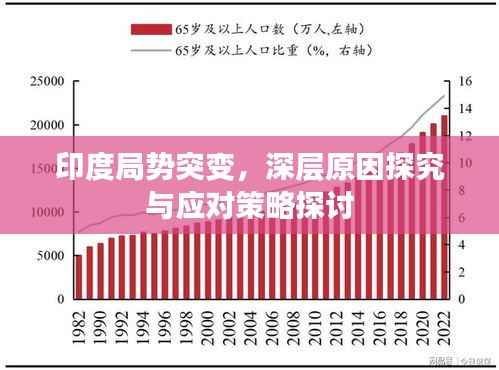 印度局势突变，深层原因探究与应对策略探讨