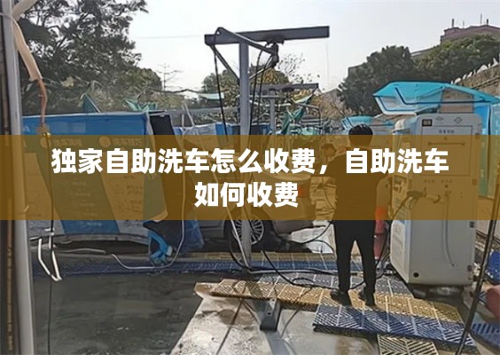 独家自助洗车怎么收费,自助洗车如何收费