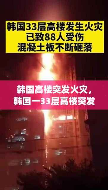 映月读书 第3页