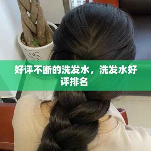 好评不断的洗发水,洗发水好评排名