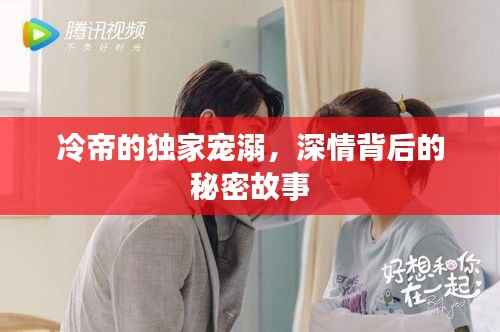 冷帝的独家宠溺,深情背后的秘密故事