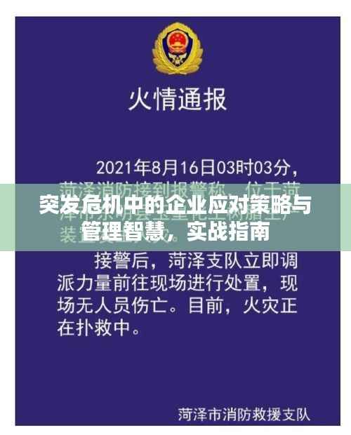 突发危机中的企业应对策略与管理智慧,实战指南