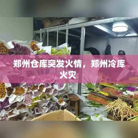 郑州仓库突发火情,郑州冷库火灾