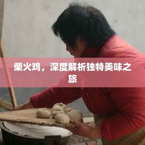 柴火鸡,深度解析独特美味之旅